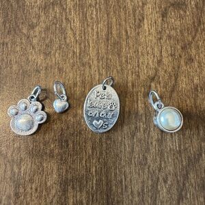 Premier Designs pieces—CLIP it, pet charms, and pearl charm.  All silver tone.